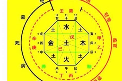 名字生辰八字|生辰八字算命、五行喜用神查询（免费测算）